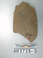 藏品(磨製石斧)的圖片